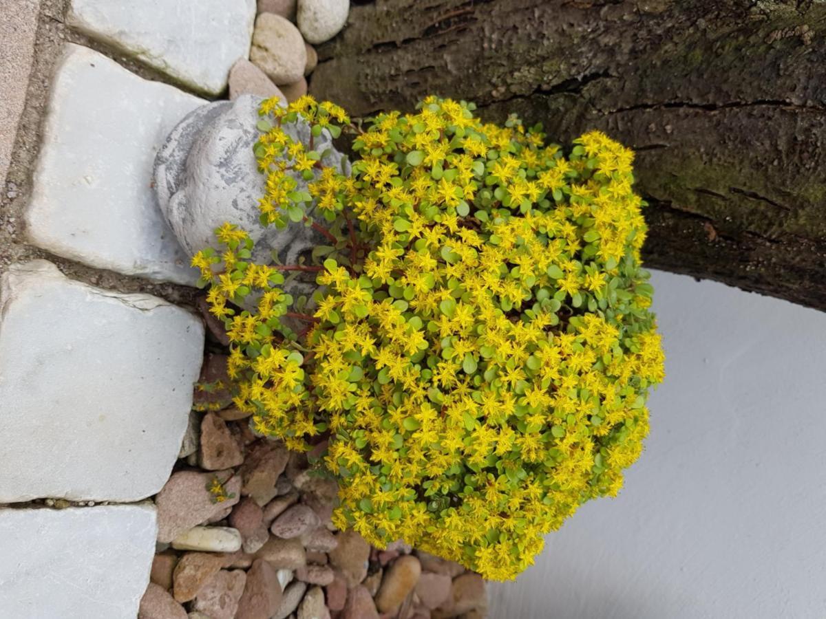 Ferienwohnungen Wie Im Sueden Großostheim Exterior foto